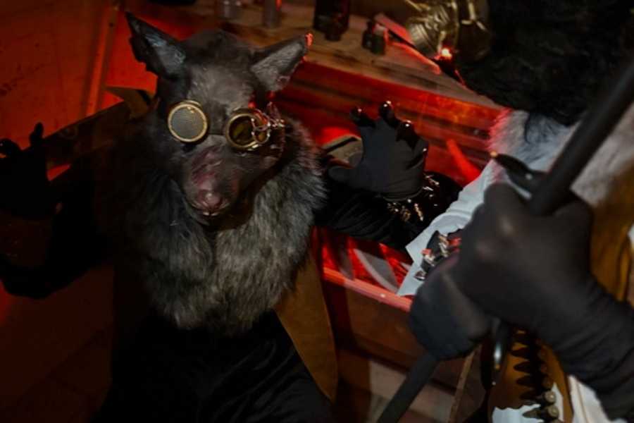 Квест в реальности Битва хвостов от компании Дом страха Квест в реальности Битва хвостов от компании Дом страха