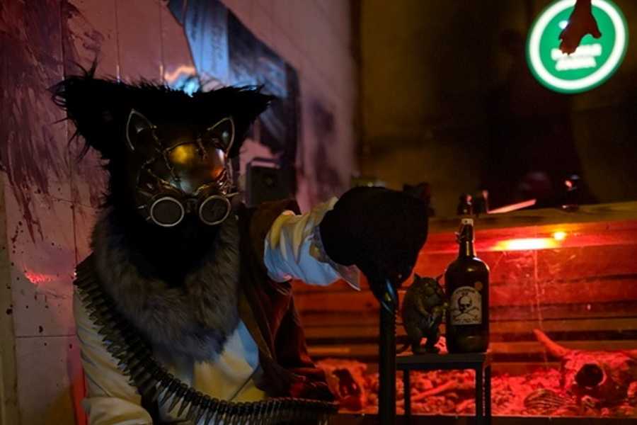 Квест в реальности Битва хвостов от компании Дом страха Квест в реальности Битва хвостов от компании Дом страха